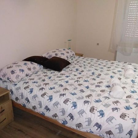 Evelin Sobe Apartment Backa Topola Luaran gambar
